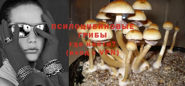 ГАЛЛЮЦИНОГЕННЫЕ ГРИБЫ Алексеевка