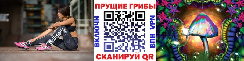 купить закладку Краснослободск Псилоцибиновые грибы мицелий