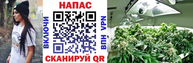 Бошки марихуана VHQ  хочу наркоту  Краснослободск 